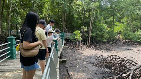 Taman Paya Bakau Bandar Tarikan Baharu Di Lumut Malaysiaaktif