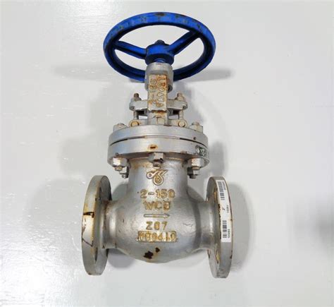 Dsi Wcb Globe Valve Fig Xu