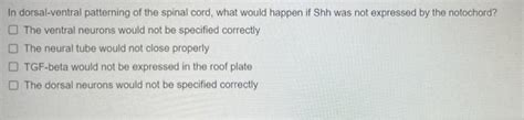 Solved In dorsal-ventral patterning of the spinal cord, what | Chegg.com 
