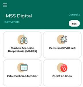 Cita IMSS en línea NSS México