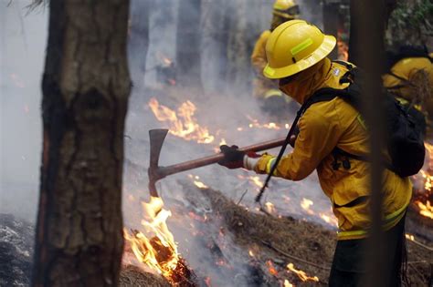 Ayuda Internacional Llega A Chile Para Combatir Incendios Forestales