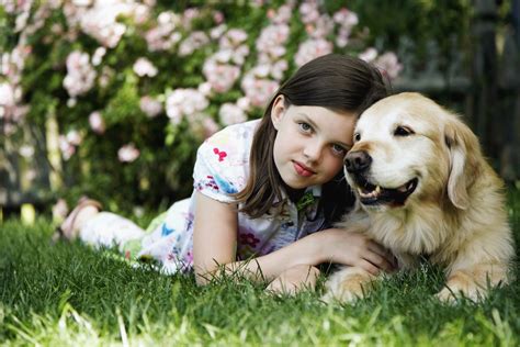 Razones Por La Que Los Perros Son Mejores Estilo De Vida Univision