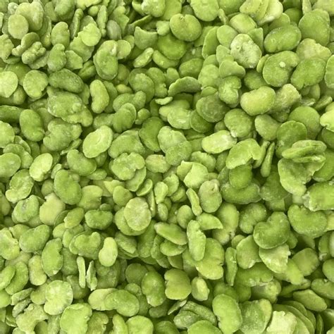 Iqf Frozen Broad Beans Fava Beans Bulk Supplier Wholesale Distributor