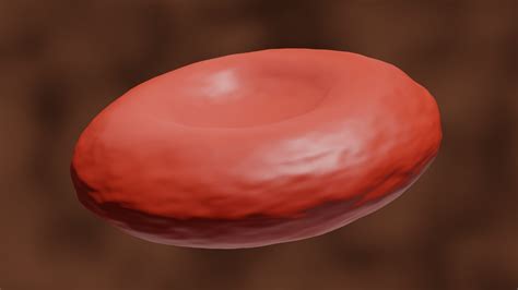 red blood cell model turbosquid
