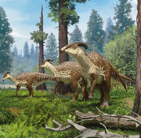 Species New To Science [paleontology • 2021] Parasaurolophus Cyrtocristatus • Description And