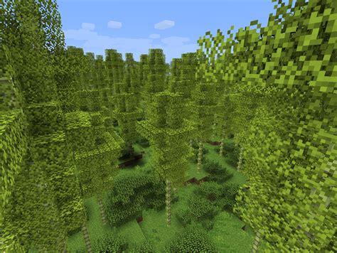 Bamboo Forest | Biomes O' Plenty Wiki | FANDOM powered by Wikia