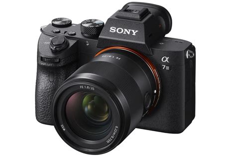 Banzai Wenige Vorsichtig sein besten objektive für sony alpha 7