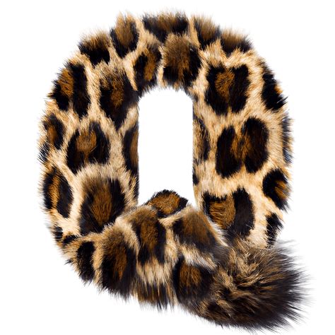 Digital Graphic Realistic Leopard Alphabet Q Creative Fabrica