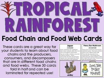 the tropical rainforest food chain and food web cards are great for students to use in their ...