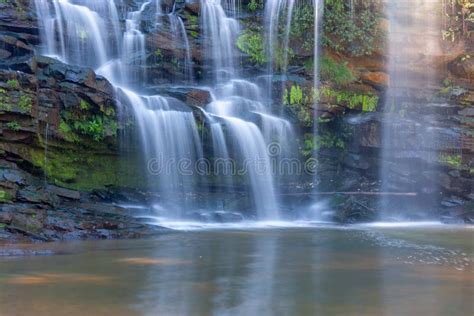 Paradise Valley Nature Reserve Durban Kwazulu Natal South Africa