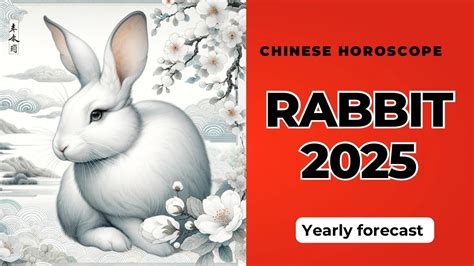 Rabbit 2025 Chinese Horoscope Yearly Predictions YouTube