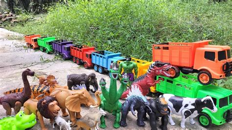 Truk Oleng Angkut Sapi Dinosaurus Trex King Kong Gajah Stegosaurus