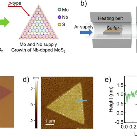 A MoS 2 MoS 2 Nb Growth Strategy B Schematic Of The CVD Growth