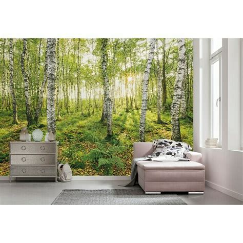 Komar Stefan Hefele Edition Fototapete Birch Trees Tlg B X H