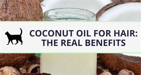 Coconut oil for hair: the real benefits