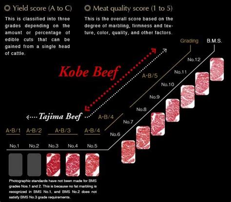 Kobe Beef Carne Wagyu Wagyu Beef Kobe Beef Great Steak Cooking Ingredients Meat Cuts Bbq