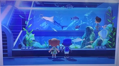 How To Get Aquarium In Animal Crossing New Horizons A Step By Step Guide