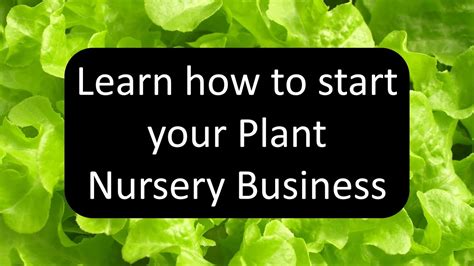 How To Start Plant Nursery Business Tips To Start Plant Nursery