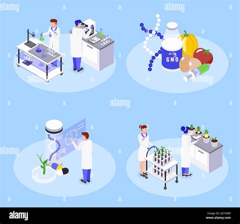 Bio Engineering Concept 4 Isometric Icons With Genetically Modified Food Gmo Biotechnology