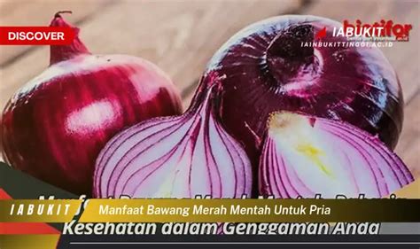 Temukan 7 Manfaat Bawang Merah Mentah Untuk Pria Yang Bikin Kamu