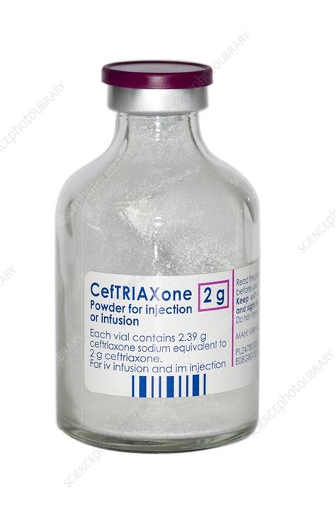 ceftriaxone antibiotic drug stock image  science photo