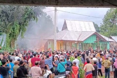 2 Orang Tewas Diterkam Harimau Warga Ngamuk Bakar Kantor TNBBS Lampung