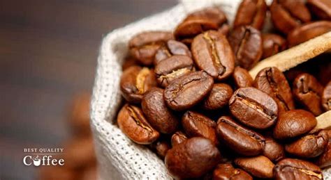 What Is Sustainable Coffee Best Quality Coffee