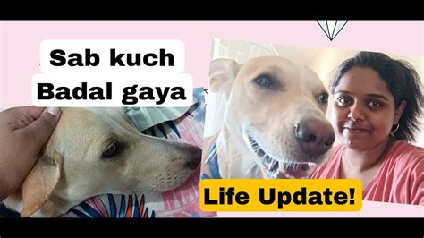 LIFE UPDATE Sab Kuch Badal Gaya Everything Happens For A Reason