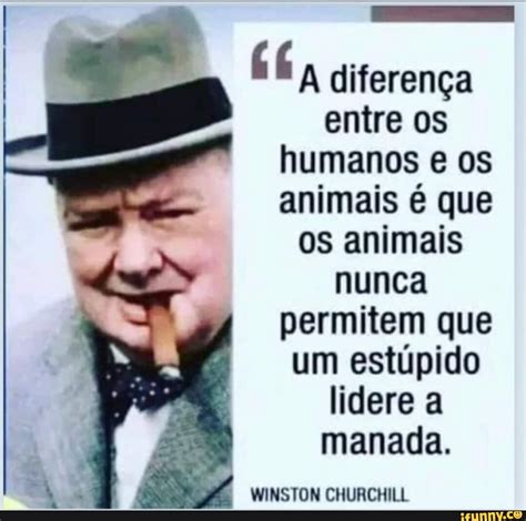 Diferen A Entre Os Humanos Os Animais Que Os Animais Nunca Permitem