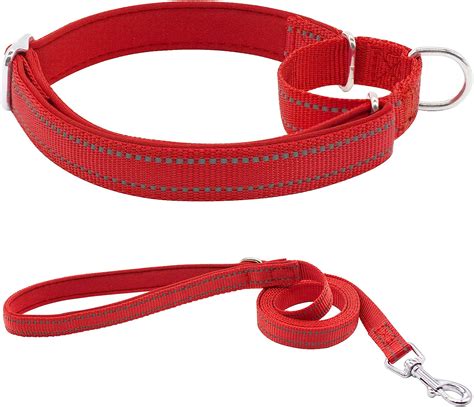 Hsigio Nylon Martingale Dog Collar Adjustable Reflective