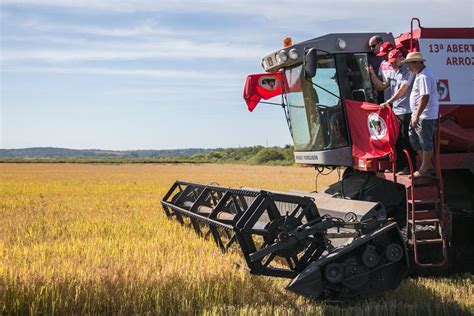 Produção de arroz orgânico do MST é destaque em conferência