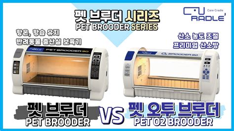 Pet Brooder Vs Pet O Brooder Curadle Youtube