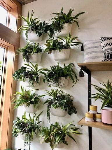 25 Indoor Plant Wall Ideas For Everlasting Greenery