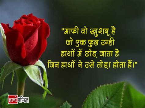 Rose Flower In Hindi Sentences Best Flower Site