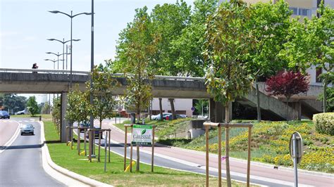 Boulevard Charles De Gaulle Caussat Espaces Verts L Acteur Du Paysage