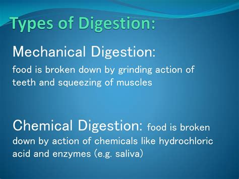 Ppt Digestive System Powerpoint Presentation Free Download Id2140200