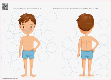 Mein K Rper Besteht Aus Vielen Teilen Kostenlose Arbeitsbl Tter Und