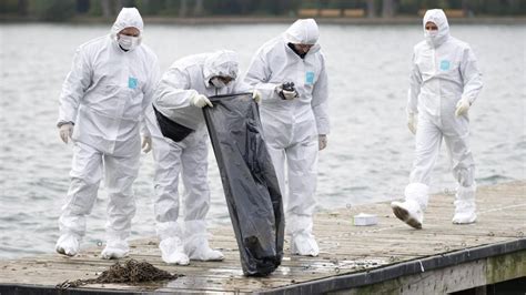 Hannover Maschsee M Rder Zu Zw Lf Jahren Haft Verurteilt Welt