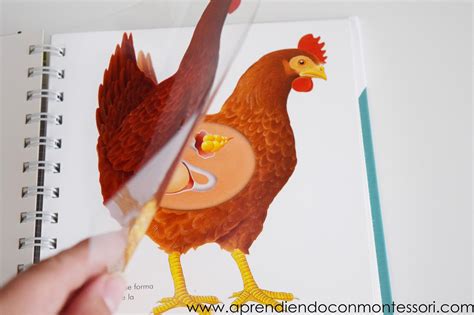 35 ACTIVIDADES PARA DISFRUTAR DE LA NATURALEZA SIGUIENDO LOS PRINCIPIOS ... 