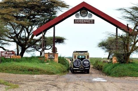 3 Days Tanzania Camping Budget Safari Tarangire Manyara