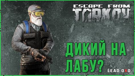 Диких запустили на Лабу в Escape From Tarkov Тарков стрим Youtube
