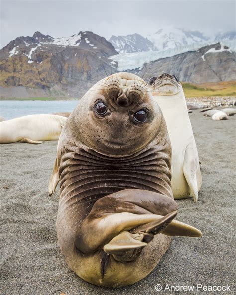 National Geographic Best Photos Of The Year