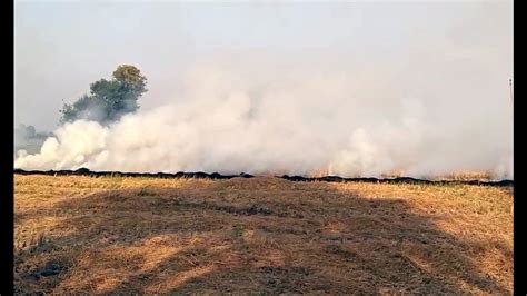 Of Stubble Burning Incidents Reported In Nine Punjab Districts