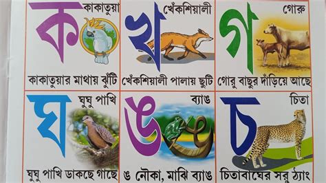 ক খ গ ঘ কয ককতযর মথয ঝট বল বযঞজনবরণ Bengali