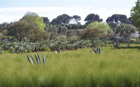 A Private Estate On Cote Dazur Colson Stone Practice Landscape Design