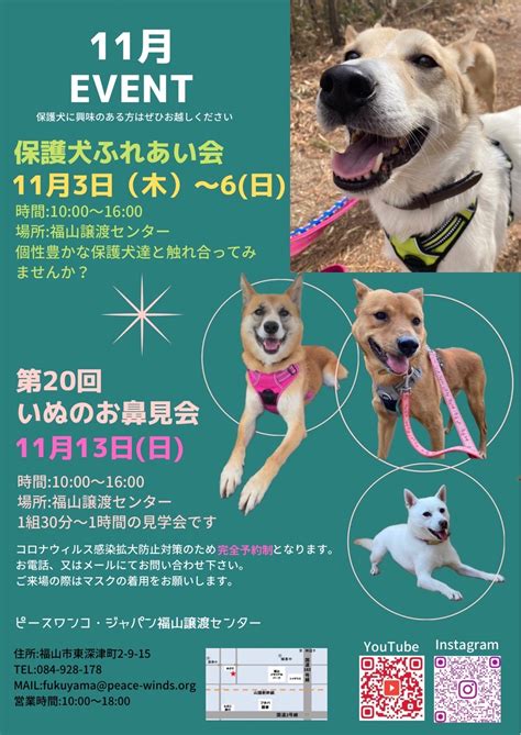 【ピースワンコのイベント】11月イベントのお知らせ＞3日木～6日月・16日日（福山譲渡センター） ピースワンコ・ジャパン