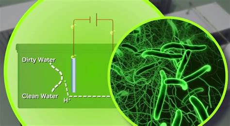 Ecovolt generates energy from wastewater - Think Research Expose ...