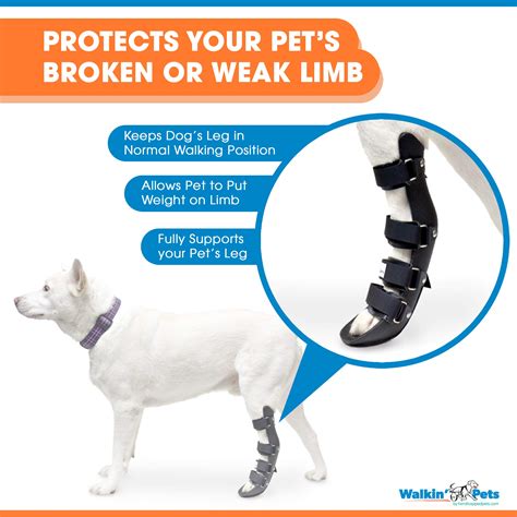 How Do You Splint A Dogs Broken Foot