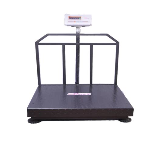 Buvi Stainless Steel Heavy Duty Platform Scale At Rs In Coimbatore