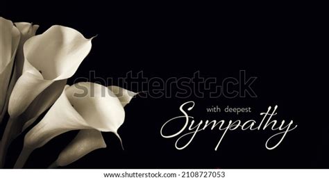 Condolence Card White Calla Lilies Isolated Stock Photo 2108727053